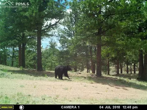 313 County Road 85 Na Na, Guffey, CO 80820 photo 48