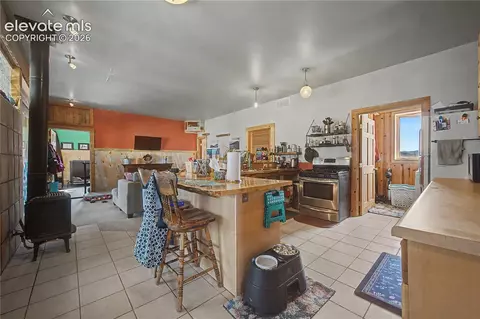 571 Saddle Trl, Hartsel, CO 80449 photo 11