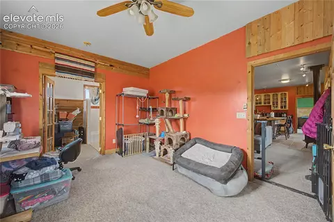 571 Saddle Trl, Hartsel, CO 80449 photo 18