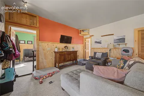 571 Saddle Trl, Hartsel, CO 80449 photo 9