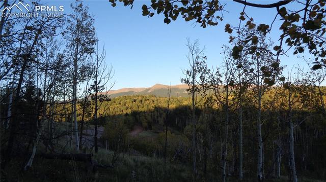1275 Golden Cycle Cir, Cripple Creek, CO 80813