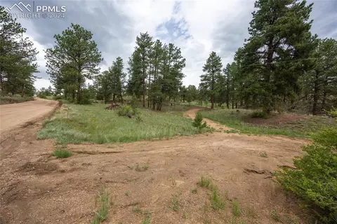 721 767 Circle Dr, Florissant, CO 80816