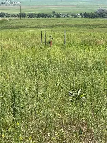 35520 County Road 160, Agate, CO 80101 photo 9
