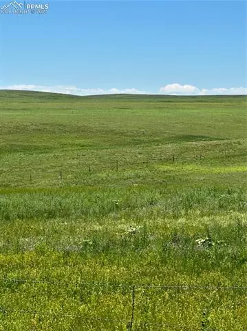35520 County Road 160, Agate, CO 80101 photo 8