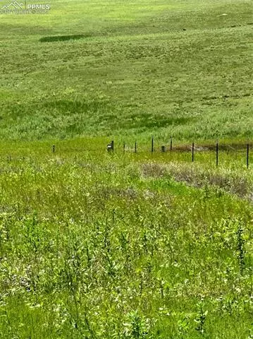 35520 County Road 160, Agate, CO 80101 photo 7