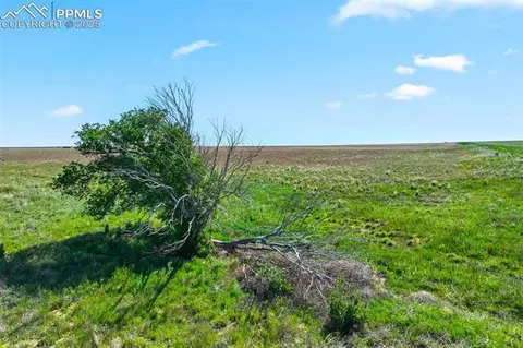 0 Service Ranch Pt, Yoder, CO 80864 photo 7