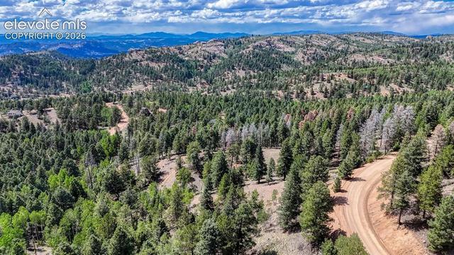 783 Bennett Dr, Cripple Creek, CO 80813