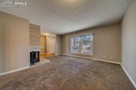 325 Raspberry Ln, Monument, CO 80132 photo 9