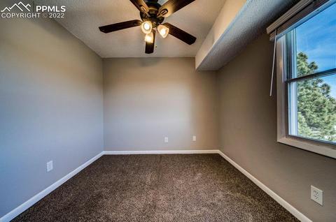 325 Raspberry Ln, Monument, CO 80132 photo 32
