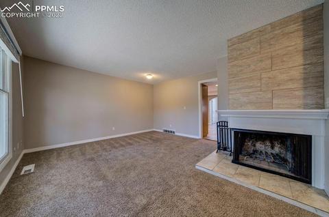 325 Raspberry Ln, Monument, CO 80132 photo 7
