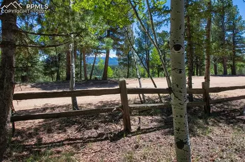 699 Cottonwood Lake Dr, Divide, CO 80814