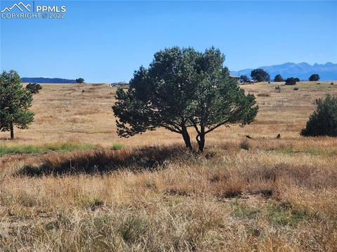 3176 M Path, Cotopaxi, CO 81223 photo 2
