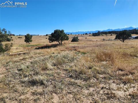 3176 M Path, Cotopaxi, CO 81223 photo 3