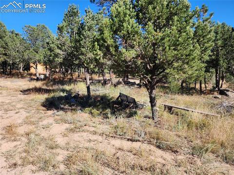 3176 M Path, Cotopaxi, CO 81223 photo 4