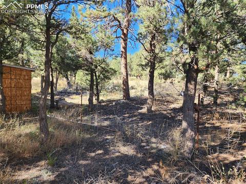 3176 M Path, Cotopaxi, CO 81223 photo 7