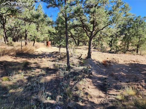 3176 M Path, Cotopaxi, CO 81223 photo 5