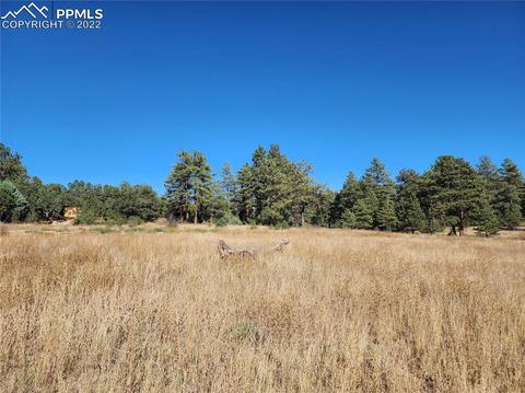 3176 M Path, Cotopaxi, CO 81223 photo 10
