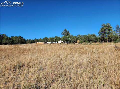 3176 M Path, Cotopaxi, CO 81223 photo 9