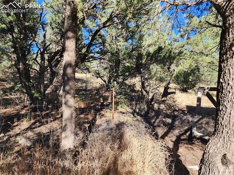 3176 M Path, Cotopaxi, CO 81223 photo 6