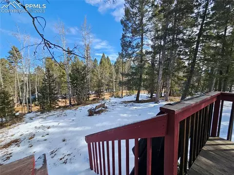 866 Jolly Rogue Dr, Divide, CO 80814 photo 4