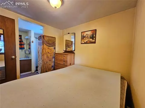 866 Jolly Rogue Dr, Divide, CO 80814 photo 12
