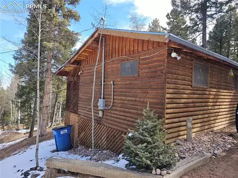 866 Jolly Rogue Dr, Divide, CO 80814 photo 2