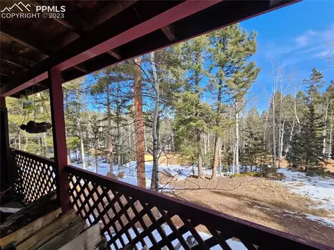 866 Jolly Rogue Dr, Divide, CO 80814 photo 7
