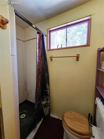 866 Jolly Rogue Dr, Divide, CO 80814 photo 13