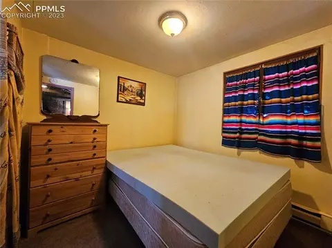 866 Jolly Rogue Dr, Divide, CO 80814 photo 11