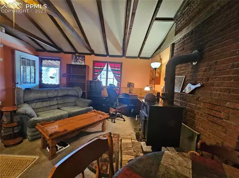 866 Jolly Rogue Dr, Divide, CO 80814 photo 10