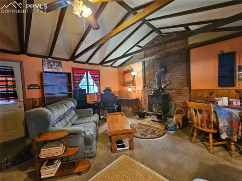 866 Jolly Rogue Dr, Divide, CO 80814 photo 9