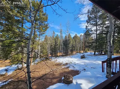 866 Jolly Rogue Dr, Divide, CO 80814 photo 5