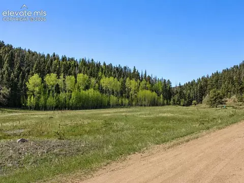 lot1 County Road 358, Westcliffe, CO 81252