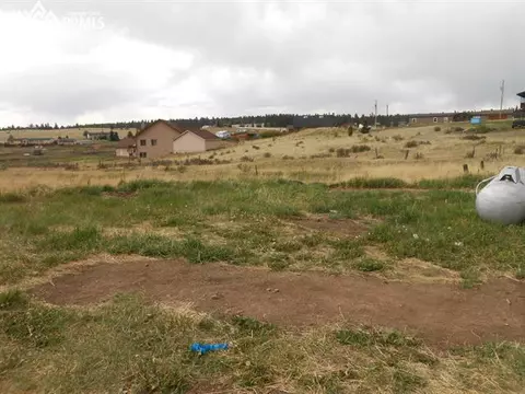 157 Weaver Rd, Divide, CO 80814 photo 9