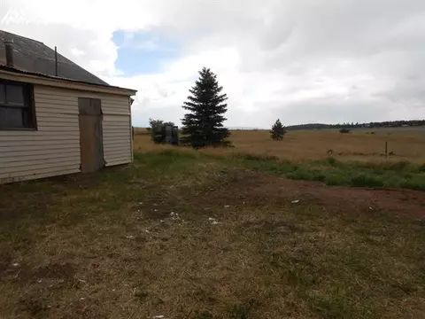 157 Weaver Rd, Divide, CO 80814 photo 15