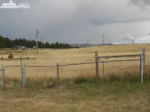 157 Weaver Rd, Divide, CO 80814 photo 8