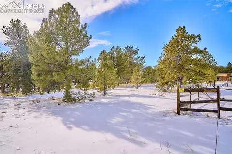 145 View Ln, Lake George, CO 80827 photo 23