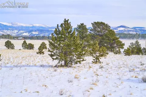 145 View Ln, Lake George, CO 80827 photo 21