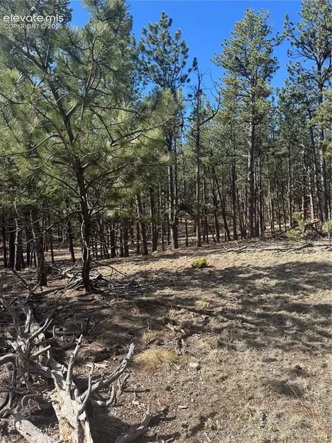 642 Matterhorn Dr, Florissant, CO 80816