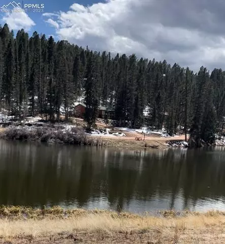 550 Shadow Lake Dr, Divide, CO 80814 photo 5