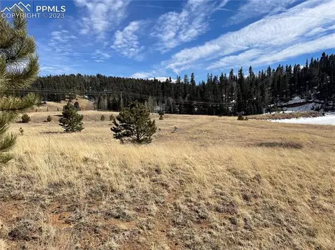 550 Shadow Lake Dr, Divide, CO 80814 photo 6