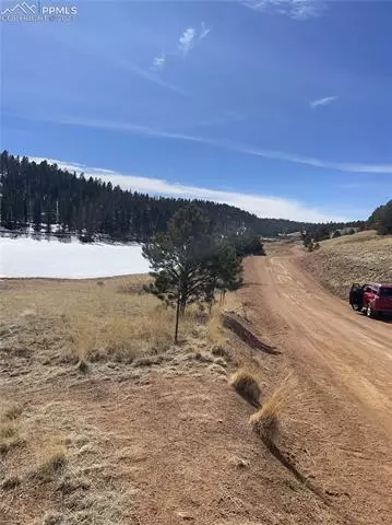 550 Shadow Lake Dr, Divide, CO 80814 photo 8