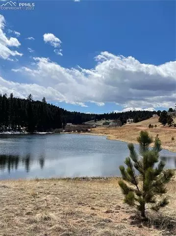 550 Shadow Lake Dr, Divide, CO 80814 photo 2