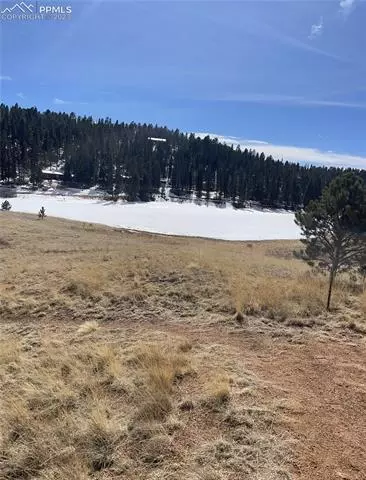 550 Shadow Lake Dr, Divide, CO 80814 photo 11