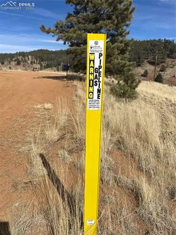 550 Shadow Lake Dr, Divide, CO 80814 photo 14