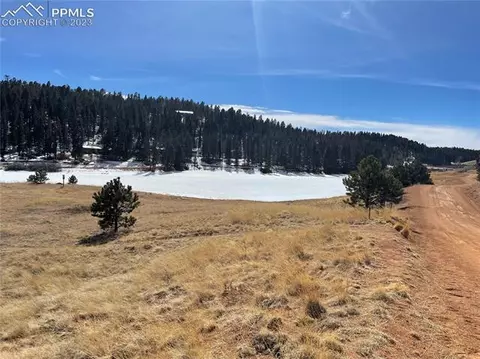 550 Shadow Lake Dr, Divide, CO 80814 photo 9