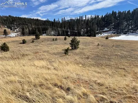 550 Shadow Lake Dr, Divide, CO 80814 photo 4