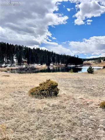 550 Shadow Lake Dr, Divide, CO 80814 photo 1