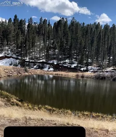 550 Shadow Lake Dr, Divide, CO 80814 photo 3