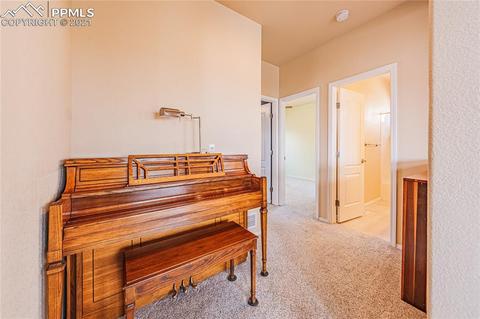 11117 Indian Echo Ter, Peyton, CO 80831 photo 19